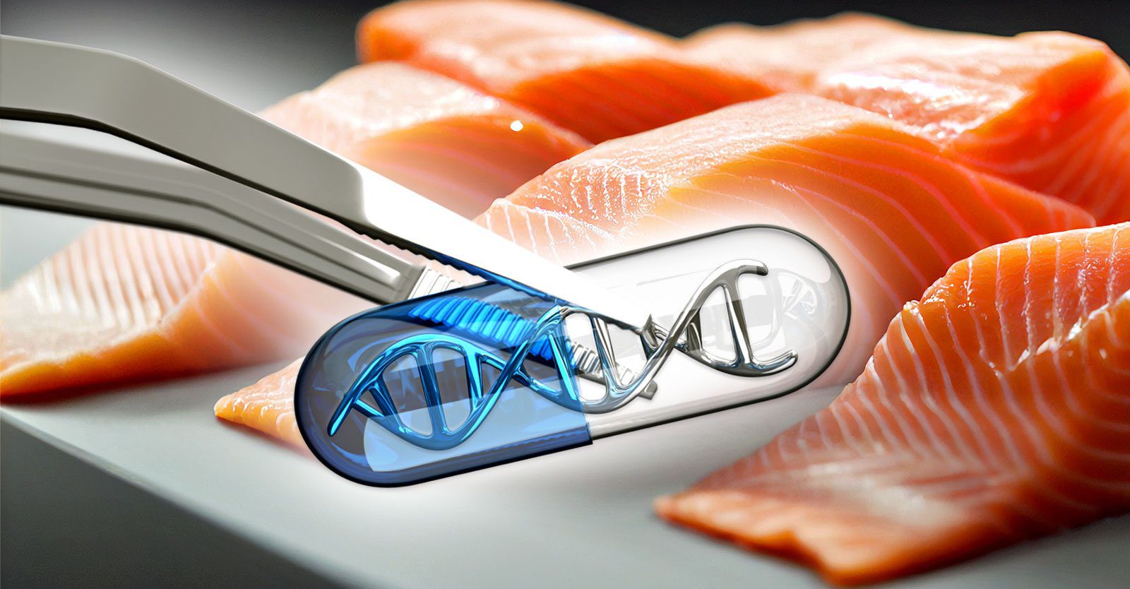 بيع السلمون المُستزرع في أميركا لأول مرة