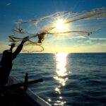 توسيع مصائد الأسماك في جزر القمر.. الاقتصاد الأزرق يفتح أبواب النمو (البنك الدولي)