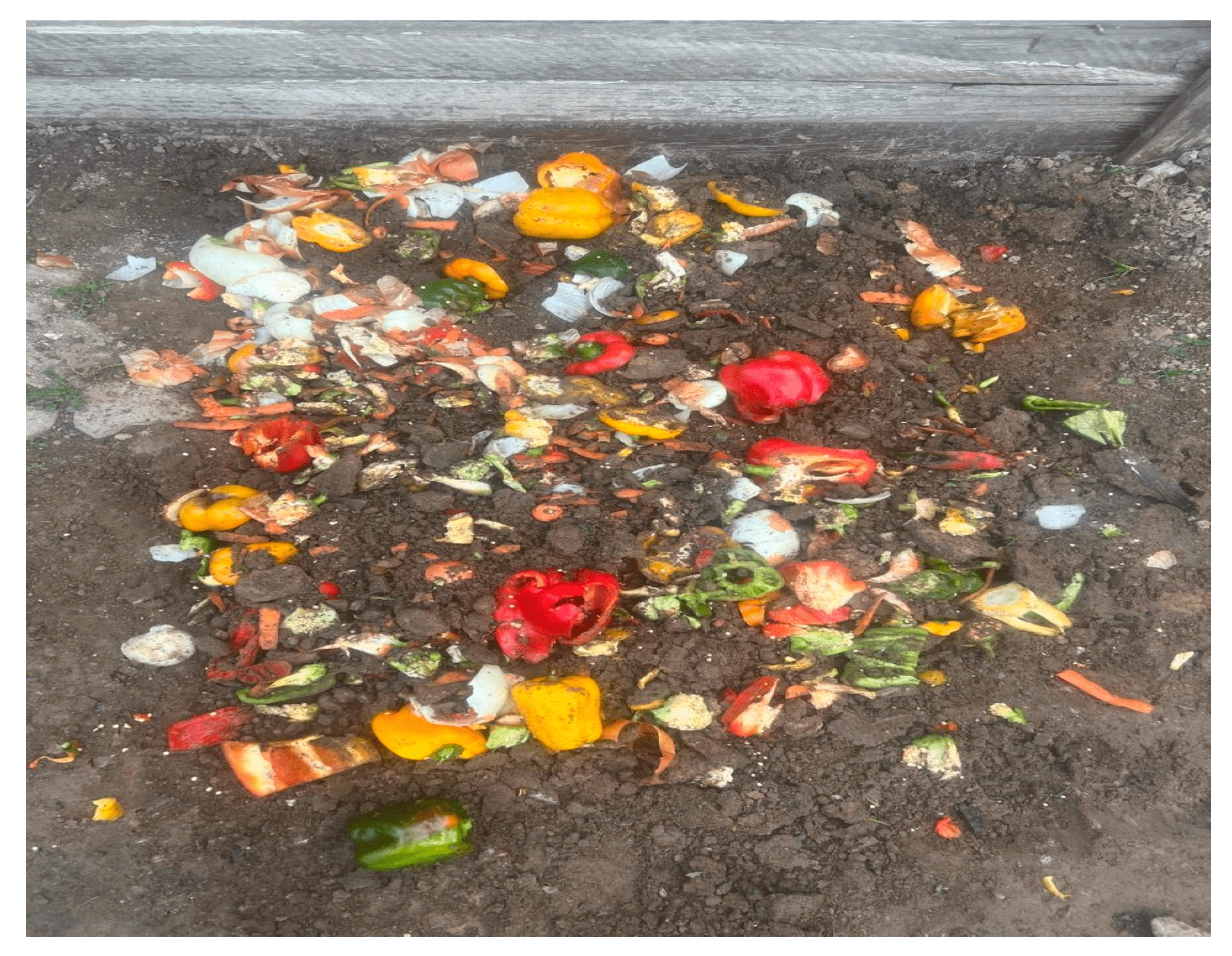 هدر الغذاء في جنوب أفريقيا يؤثر سلبًا في الأمن الغذائي