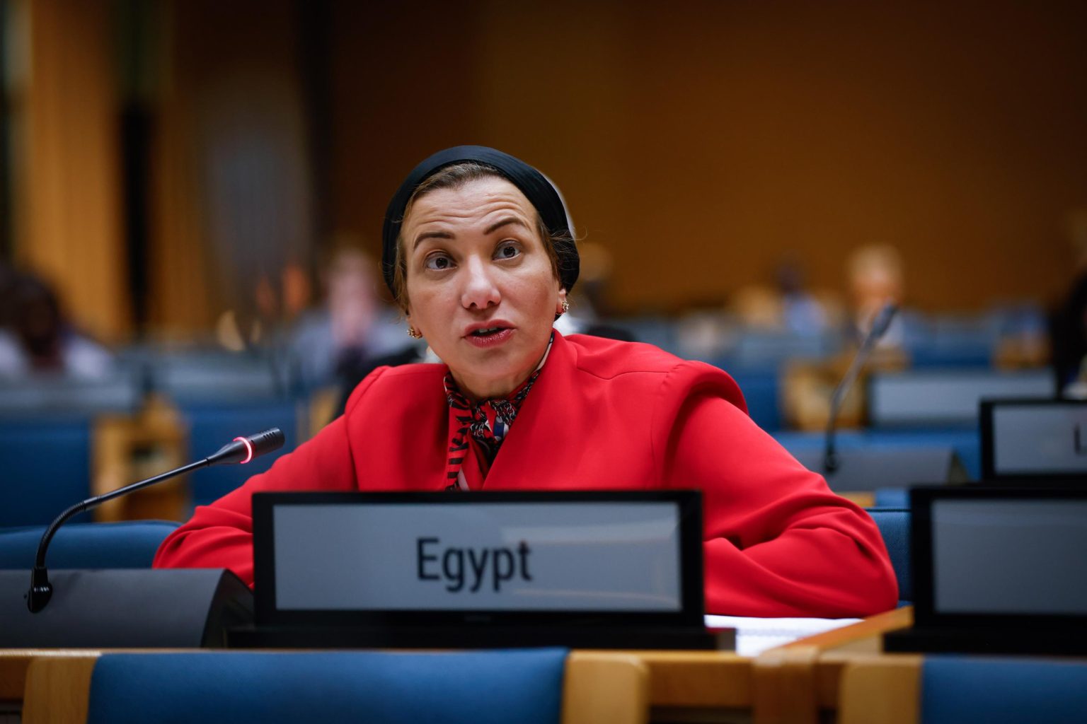 الأمينة التنفيذية لاتفاقية مكافحة التصحر، الدكتورة ياسمين فؤاد