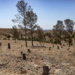 تدهور التربة في سوريا بسبب الصراع (دراسة)