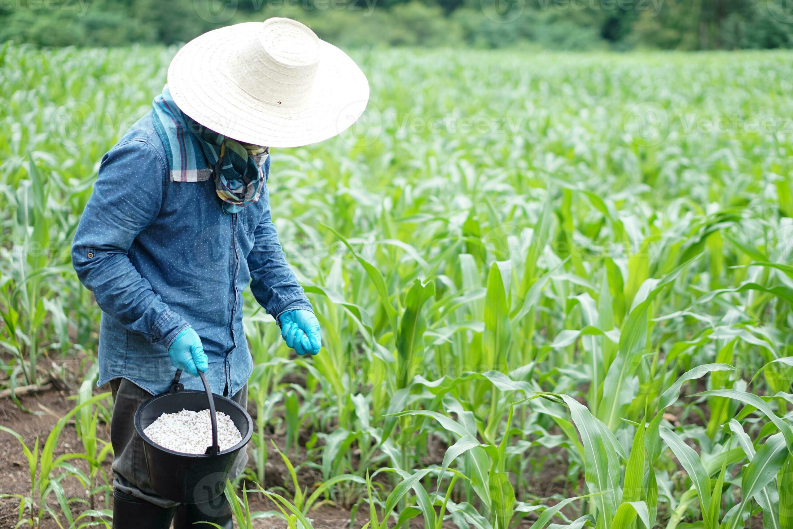 إمدادات الأسمدة في آسيا تتأثر بالحرب في إيران