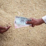 كابوس حظر صادرات الأرز الهندي قد تعيده حرب إيران<br><span  style=' color: grey; text-align: right;'>نيودلهي أكبر منتج عالمي وتزود أكثر من 42 دولة بما يصل إلى 67% من سعراتها الحرارية</span>