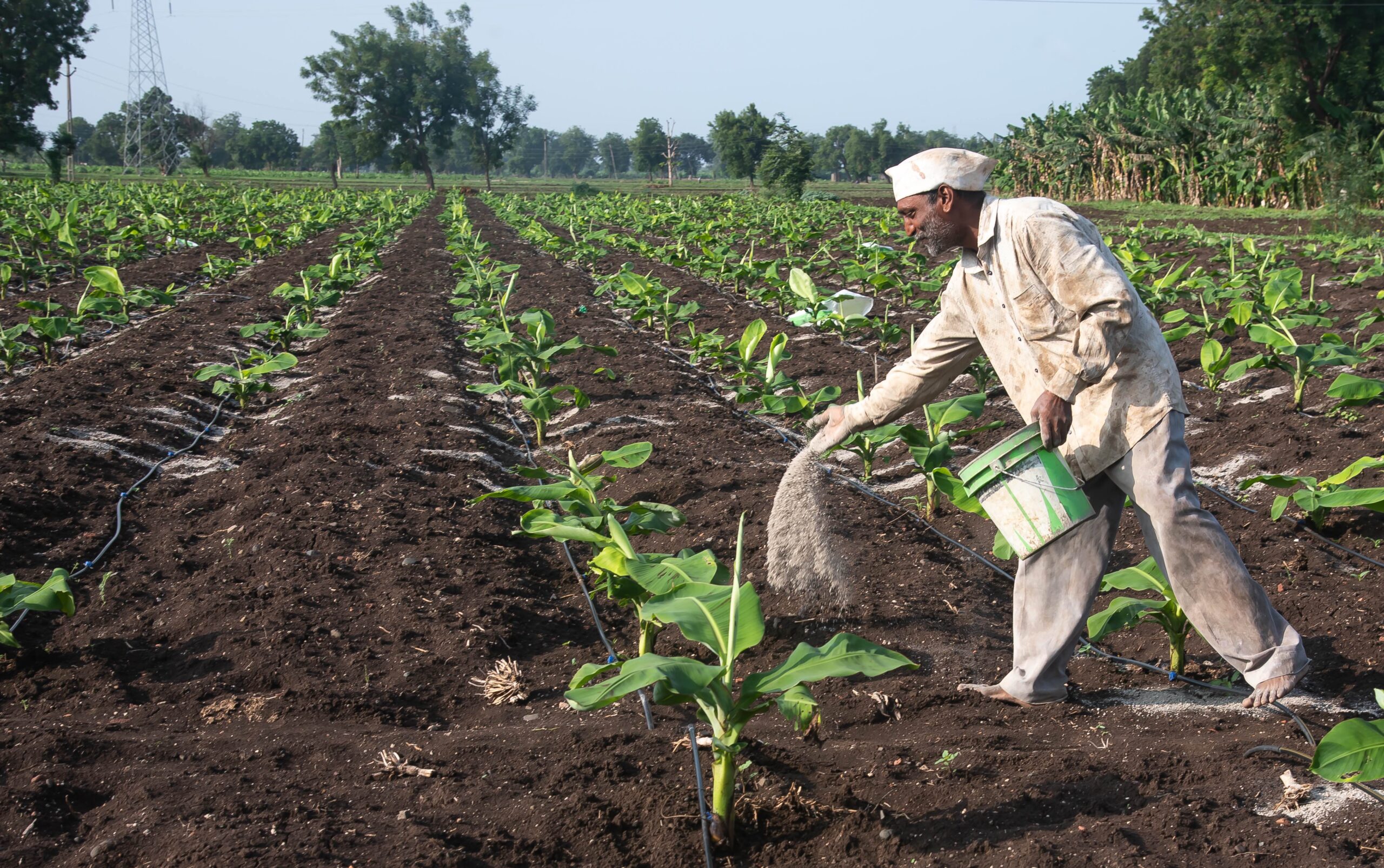 حظر صادرات أسمدة نترات الأمونيوم الروسية لمدة شهر