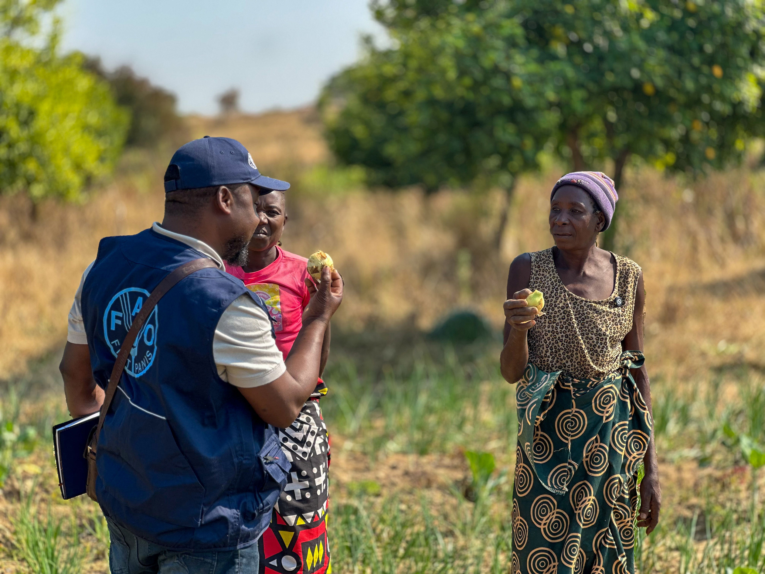 السيدة ريتا في أنغولا