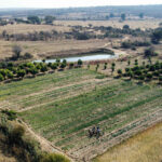 بناء خزان مياه في أنغولا يحمي المزارعين من الجفاف