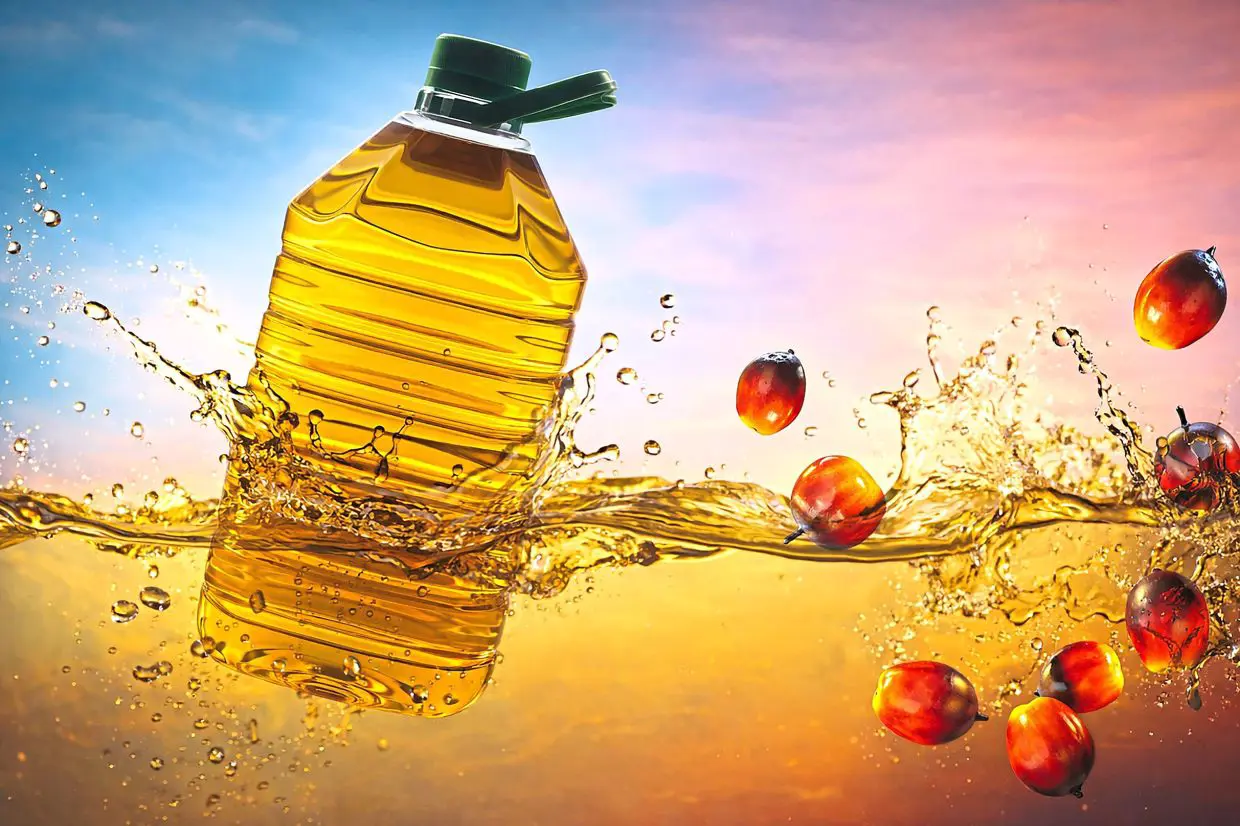 زيت النخيل يشهد ارتفاع الأسعار