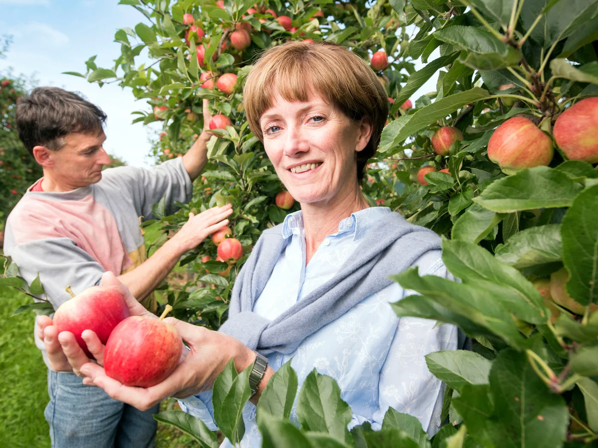 آلي كابر، ممثلة مزارعي التفاح والكمثرى في بريطانيا