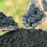 استخلاص مادة من مخلفات الغذاء تقلص استهلاك كهرباء التبريد والتدفئة<br><span  style=' color: grey; text-align: right;'>التقنية الجديدة تخفض الطلب السنوي على طاقة تكييف الهواء  في المباني 13.3%</span>