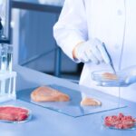 شركات البروتينات البديلة تواجه مأزقًا يدفعها لخفض الوظائف<br><span  style=' color: grey; text-align: right;'>التصنيع والعلوم الزراعية وإدارة المشروعات في صدارة التخصصات المطلوبة خلال العام الماضي</span>