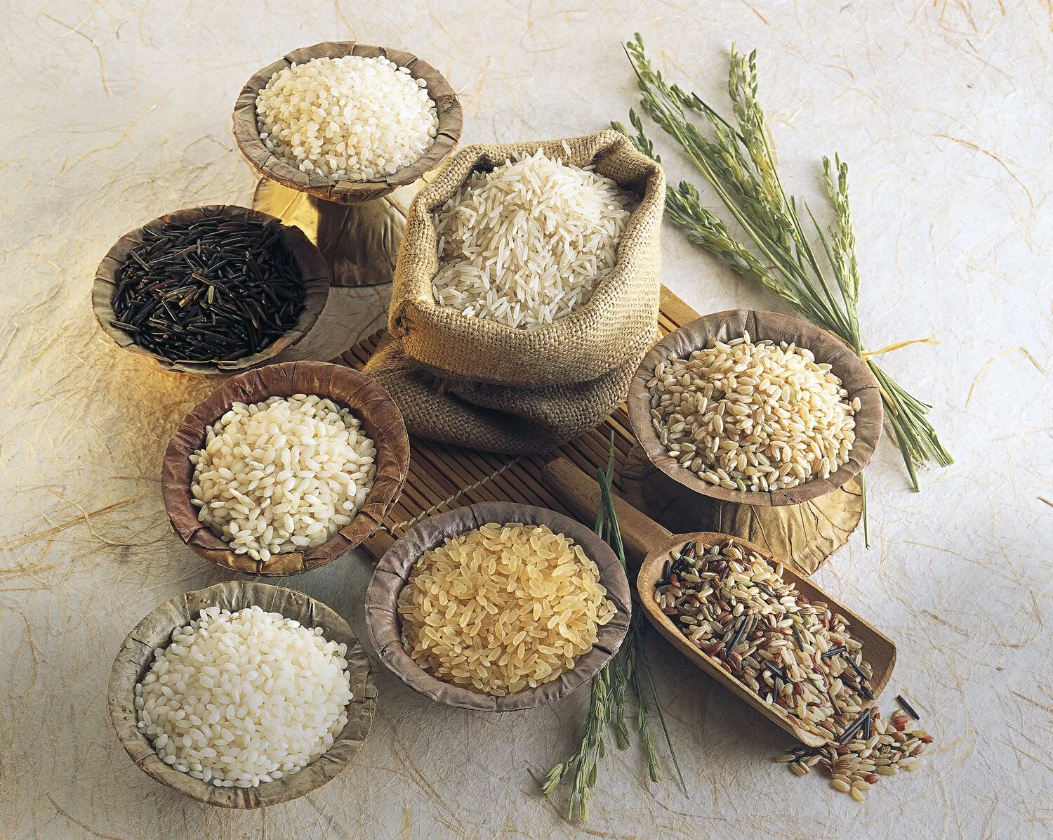 سلاسلات مطورة من الأرز