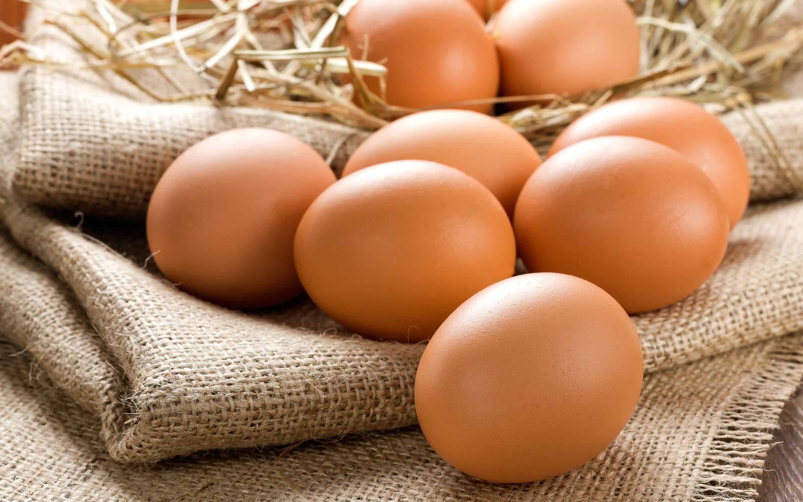 البيض العضوي أقل إنتاجية 
