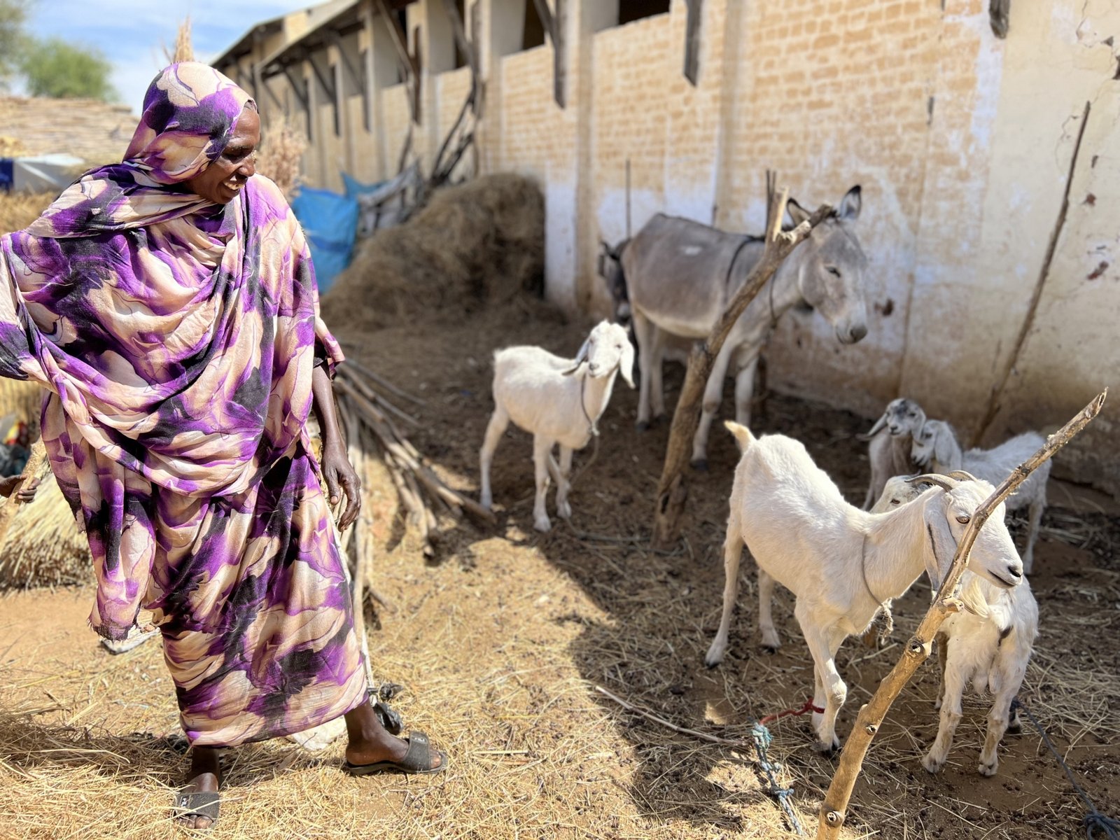 مربية أغنام تقف في حظيرة في السودان