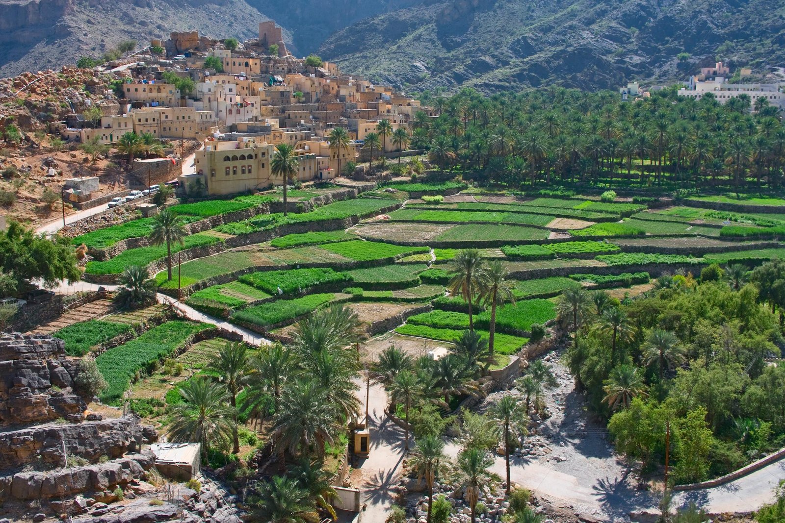 هناك توجهًا نحو زيادة المساحات الخضراء وزراعة الأشجار التي تساعد على تحسين الأجواء والبيئة 