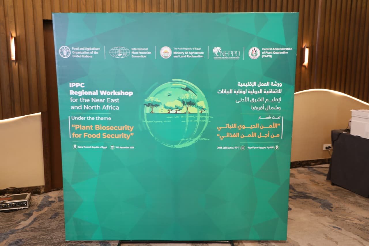 مناقشة تطوير المعايير الدولية لتدابير الصحة النباتية