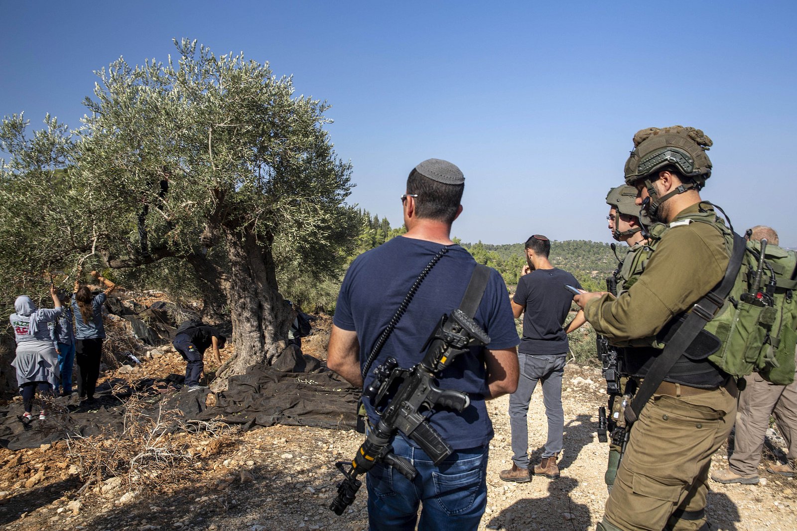 سيدات فلسطينيات يقطفن الزيتون ويقف بالقرب منهن جنود إسرائيليين
